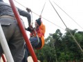 Tn DSC 6310